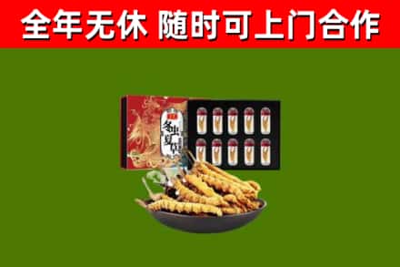 随县区回收冬虫夏草价格
