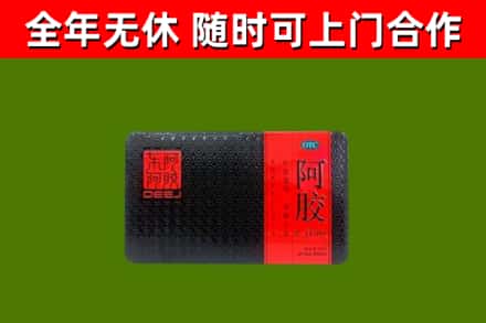 随县区回收阿胶